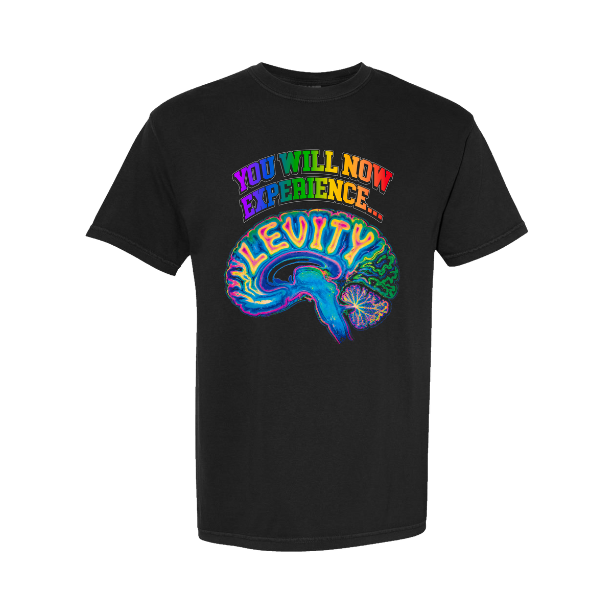 Levity Brain Tee in Black