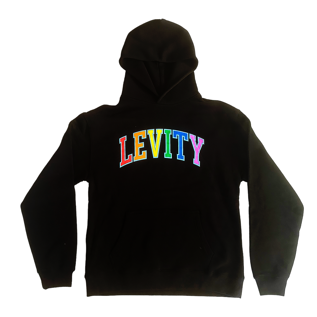 Levity "BRAIN" Pullover Hoodie in Black