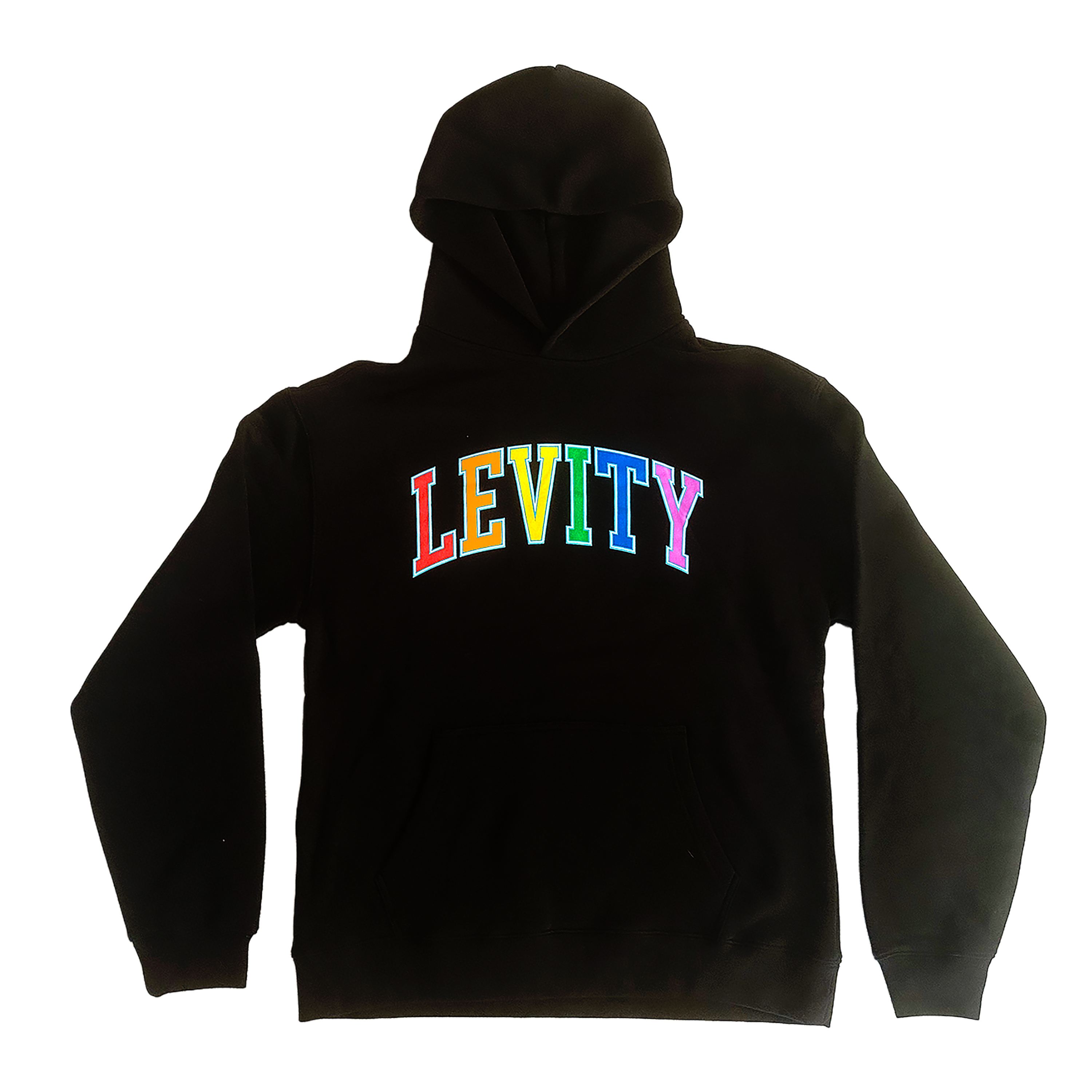 Levity "BRAIN" Pullover Hoodie in Black