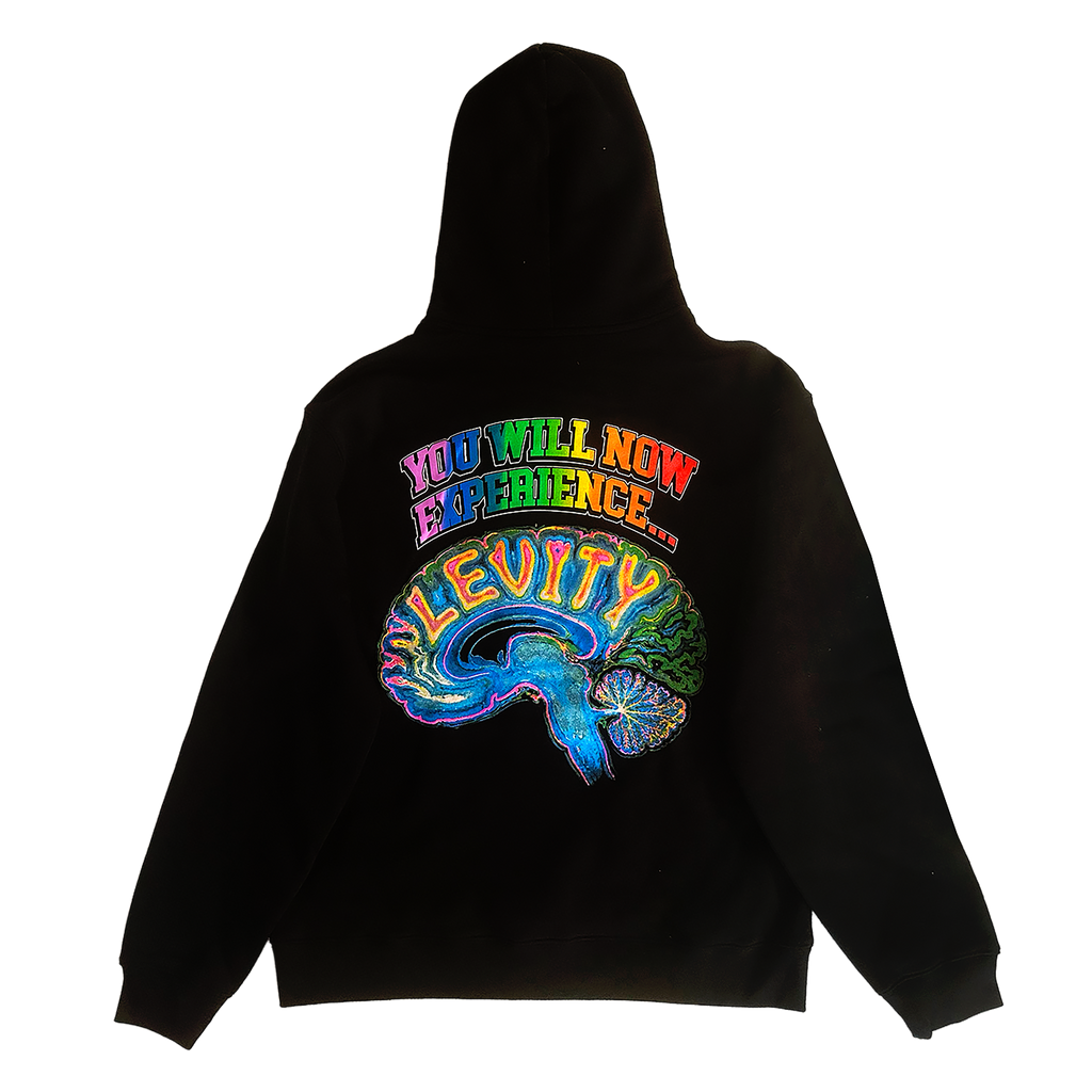 Levity "BRAIN" Pullover Hoodie in Black