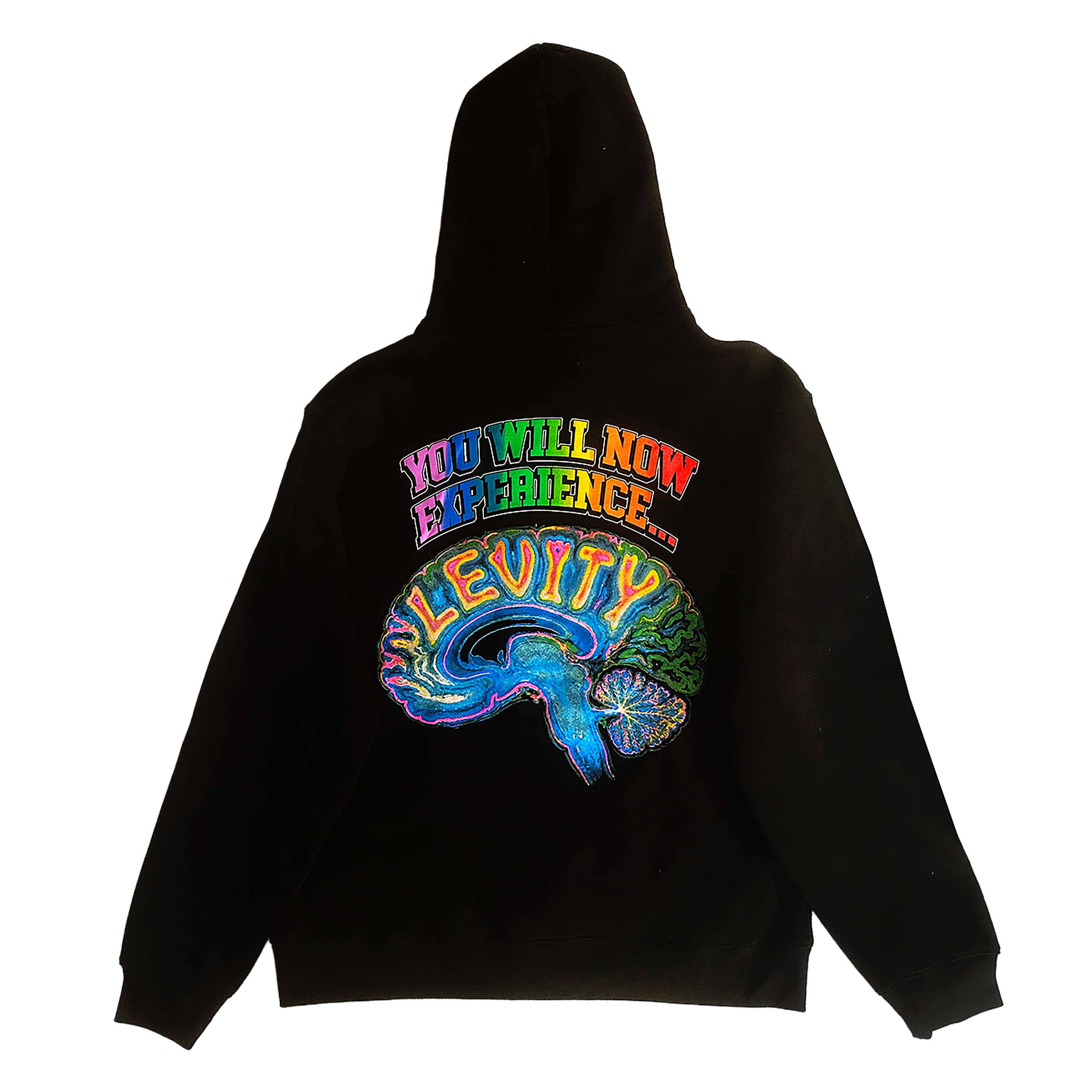 Levity "BRAIN" Pullover Hoodie in Black